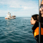 ship inspection services