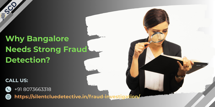 Fraud investigation agency