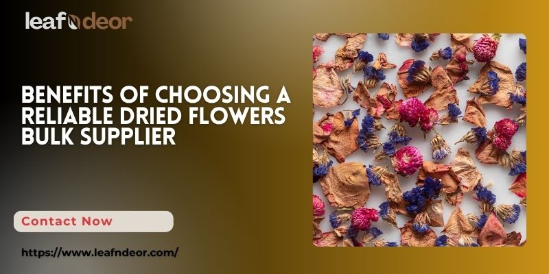 Benefits of Choosing a Reliable Dried Flowers Bulk Supplier