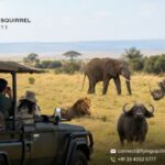 Big Five Safari Experience in Masai Mara: A Guide for Indian Tourists