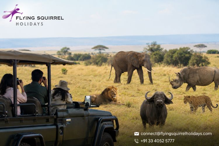Big Five Safari Experience in Masai Mara: A Guide for Indian Tourists