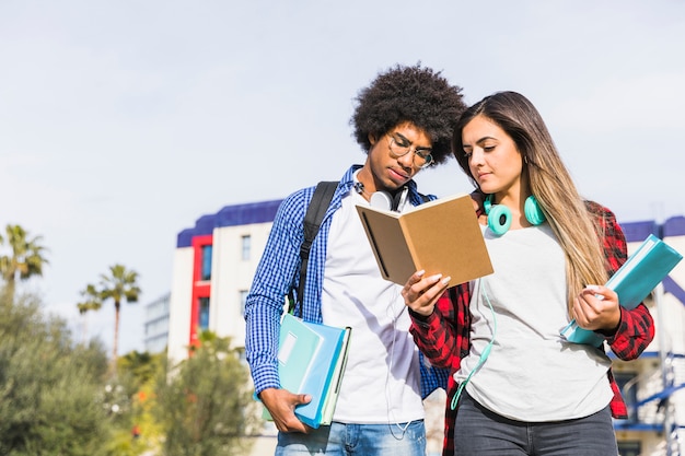 Study NZ opportunities for international students in New Zealand