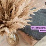 Dried Flower Exporter India for Home Styling