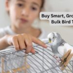 Buy Smart, Grow Faster with Bulk Bird Toy Deals