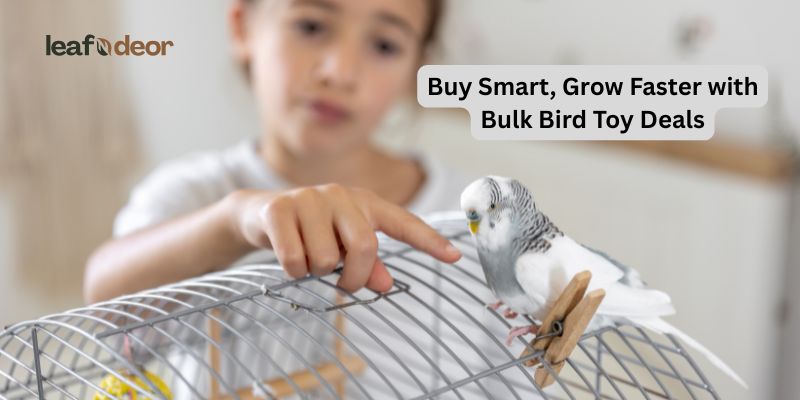 Buy Smart, Grow Faster with Bulk Bird Toy Deals