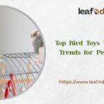 Top Bird Toys Wholesale Trends for Pet Stores