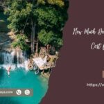 How Much Does an Andaman Trip Cost from Kerala?
