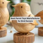 Best Parrot Toys Manufacturer for Bird Owners