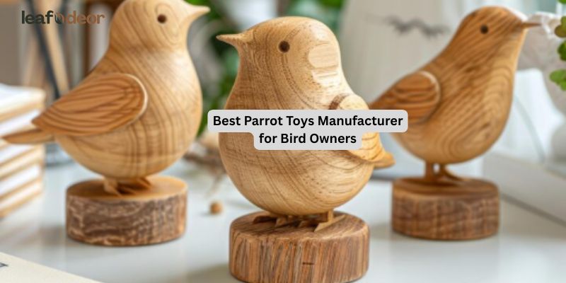 Best Parrot Toys Manufacturer for Bird Owners