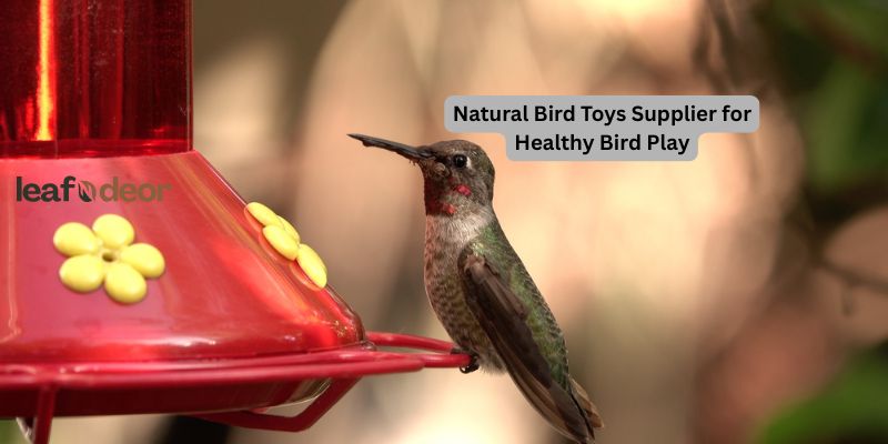 Natural Bird Toys Supplier for Healthy Bird Play