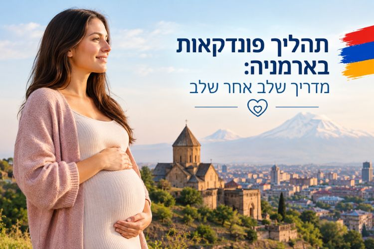 Best Surrogacy process in Armenia